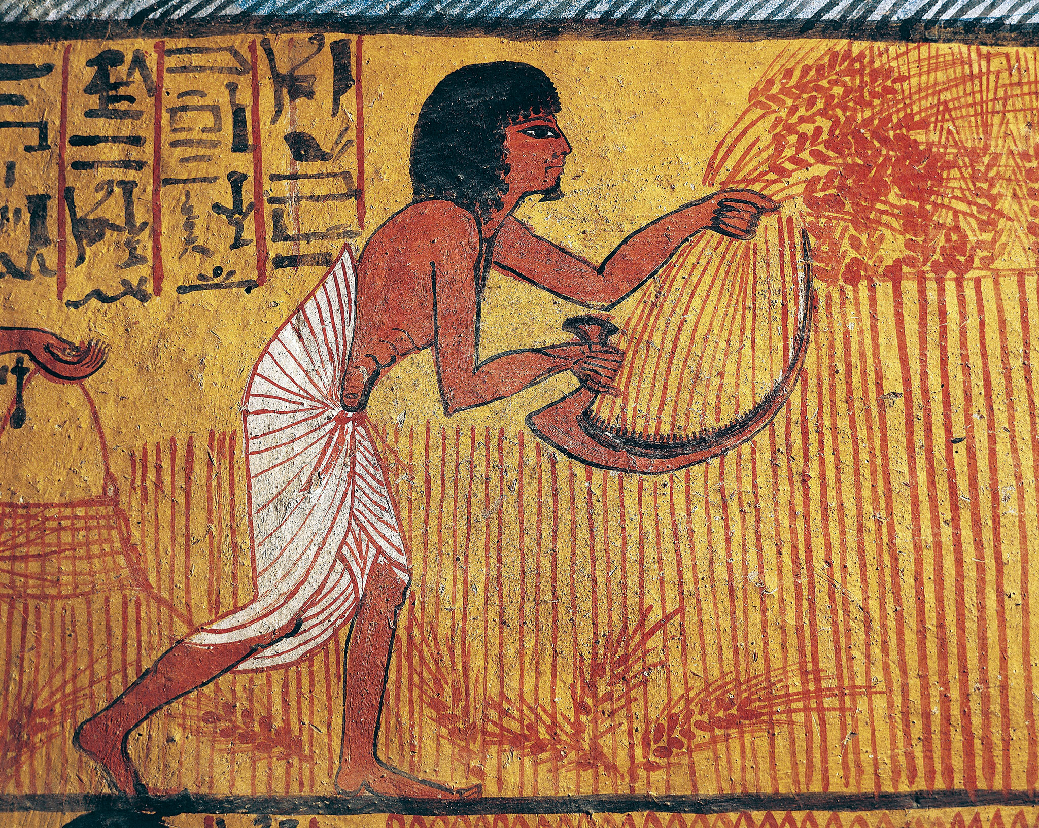 Image result for barley in ancient egypt